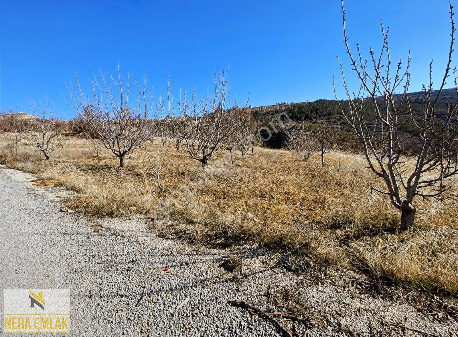 Sarıveliler Göktepe Bld. (Esentepe) Satılık Konut İmarlı Ana Yol Üzeri Tek Tapu Ev Yapımına Uygun Yetişmiş Kiraz Ağaçlı