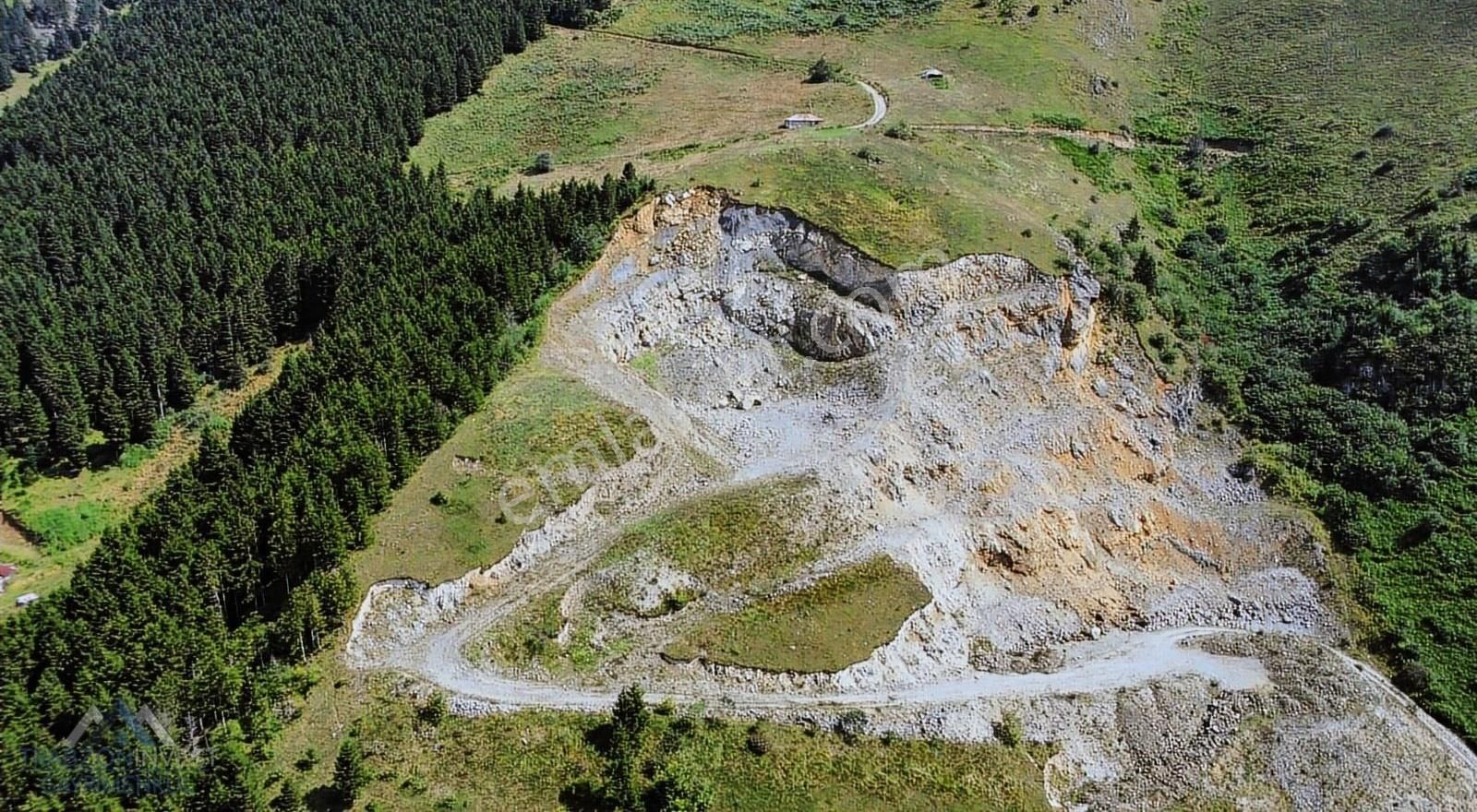 Maçka Dikkaya Satılık Tarla Trabzonda Satılık Fırsat Arazi