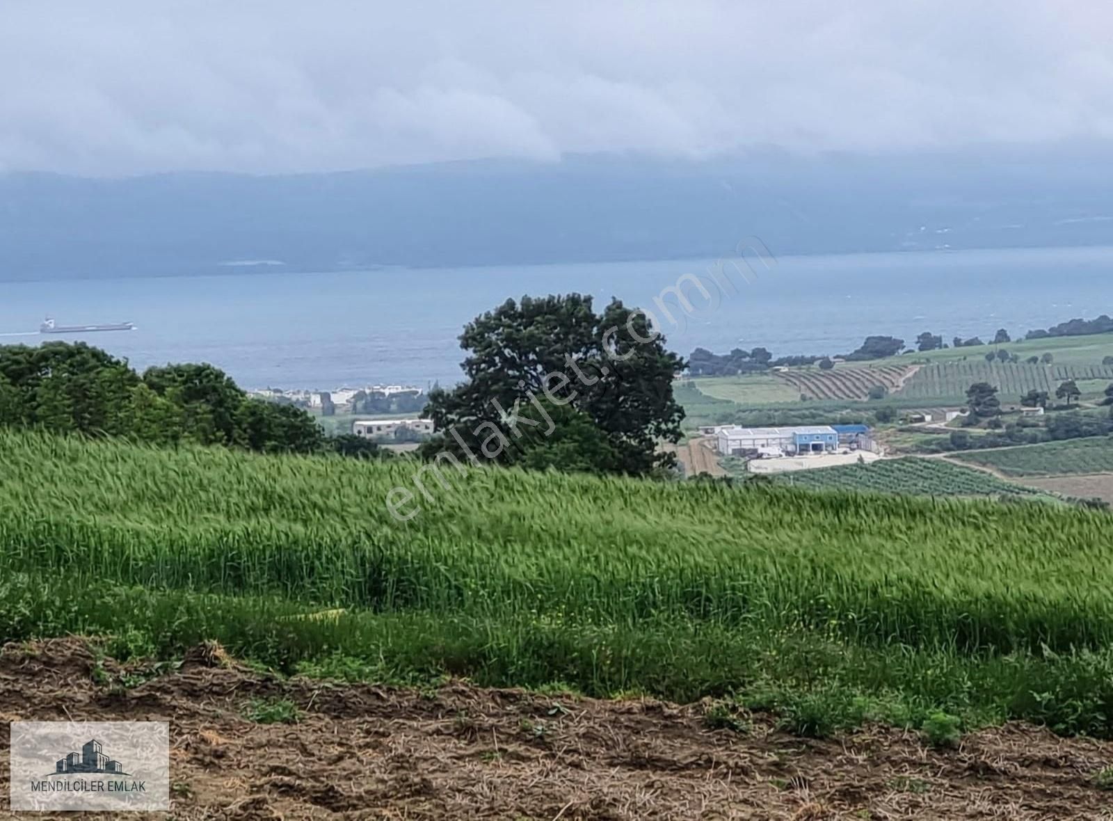 Çanakkale Merkez Musaköy Köyü Satılık Tarla Musa Köyde Kadastro Yolu Olan Denizve Boğaz Köprumanzaralı Tarla