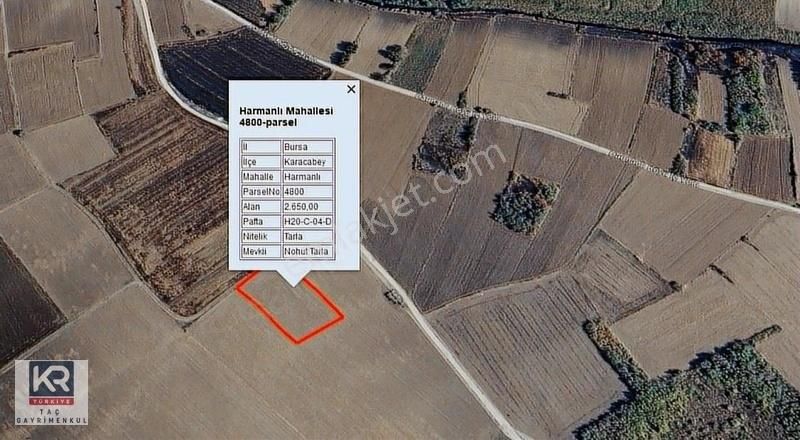 Kr Taç Karacabey Harmanlı Fırsat Satılık Tarla - Görsel 3