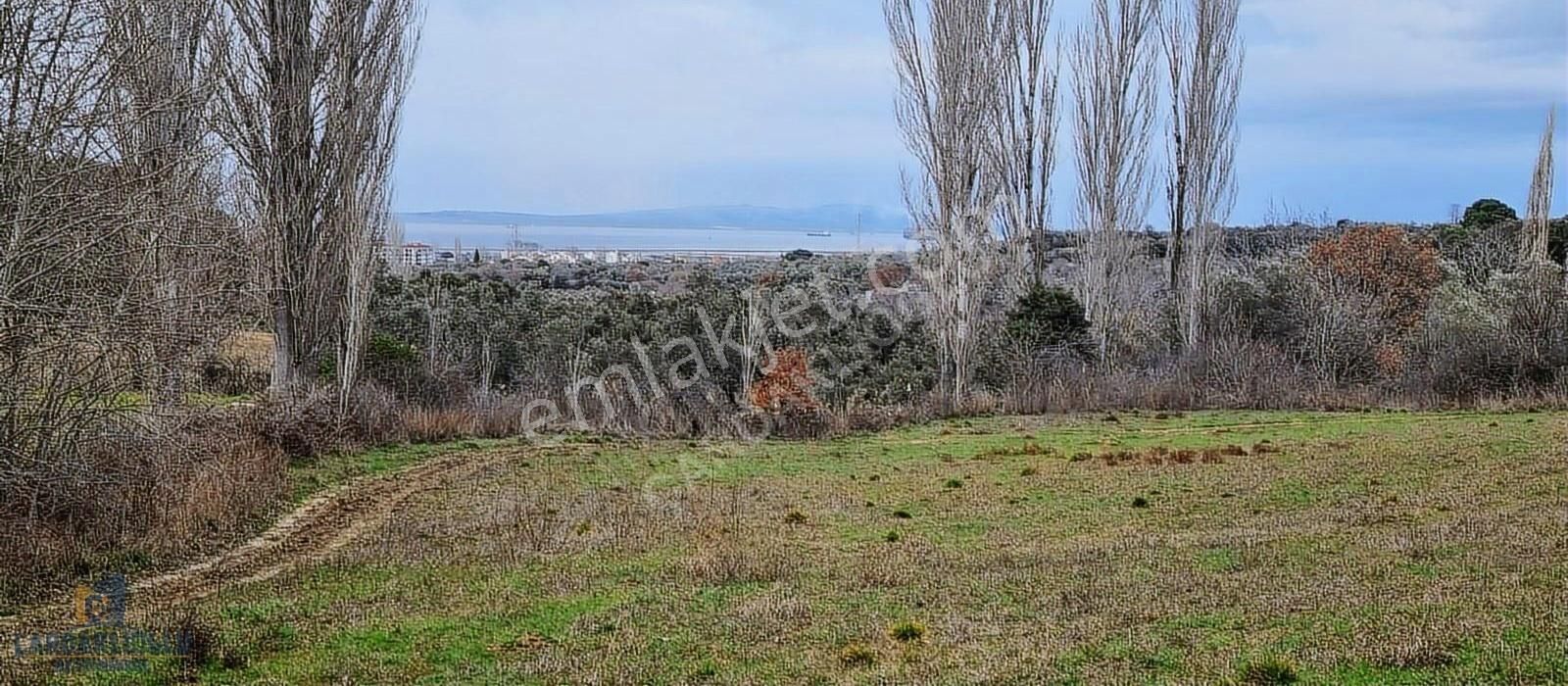 Lapseki Çardak Bld. (Gaziyakupbey) Satılık Tarla Çanakkale Lapseki Çardak'ta Satılık Tarla