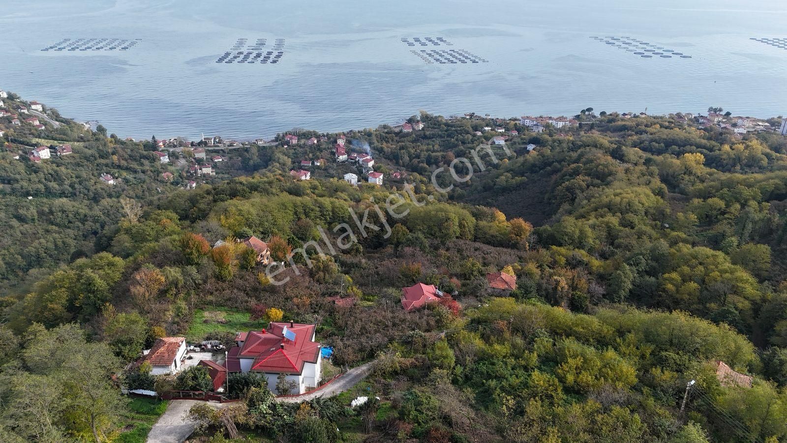 Perşembe Kaleyaka Satılık Bağ & Bahçe Sönmez'den Perşembe/kaleyaka'da Deniz Manzaralı Satılık Arsa