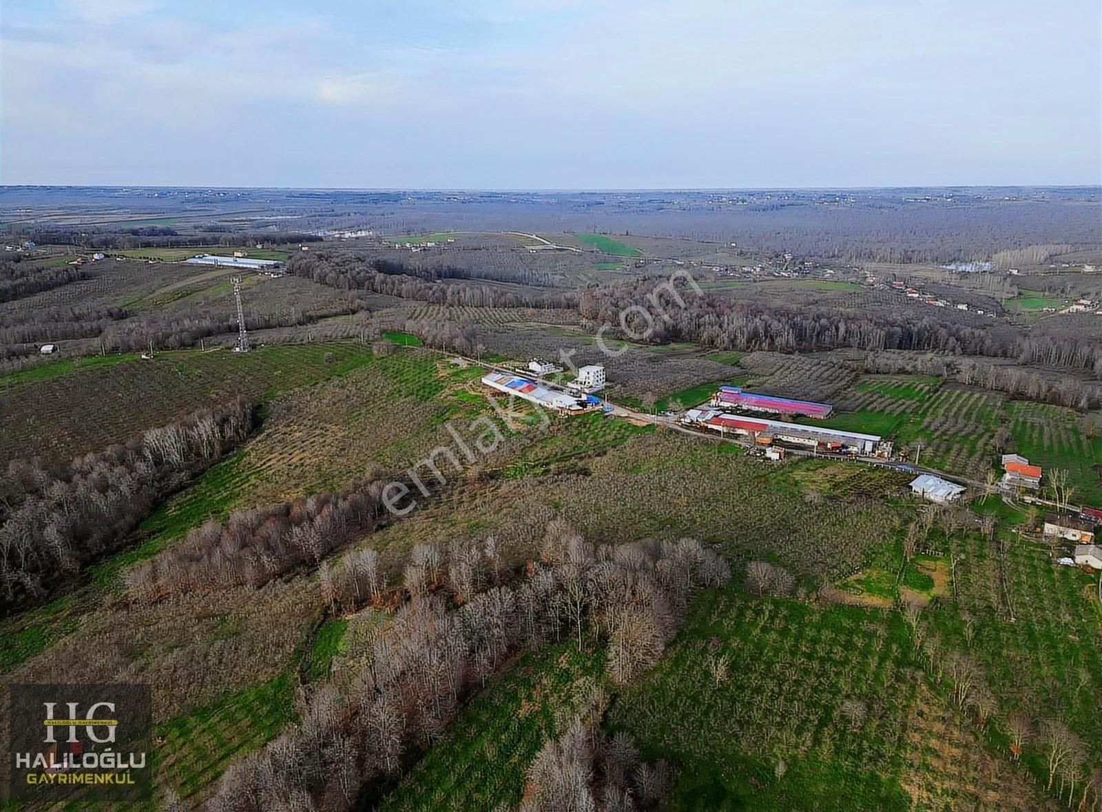 Kaynarca Büyükyanık Satılık Bağ & Bahçe Takaslı Deniz&doğa Manzaralı Konteynerli Satılık Arsa(emsalsiz)