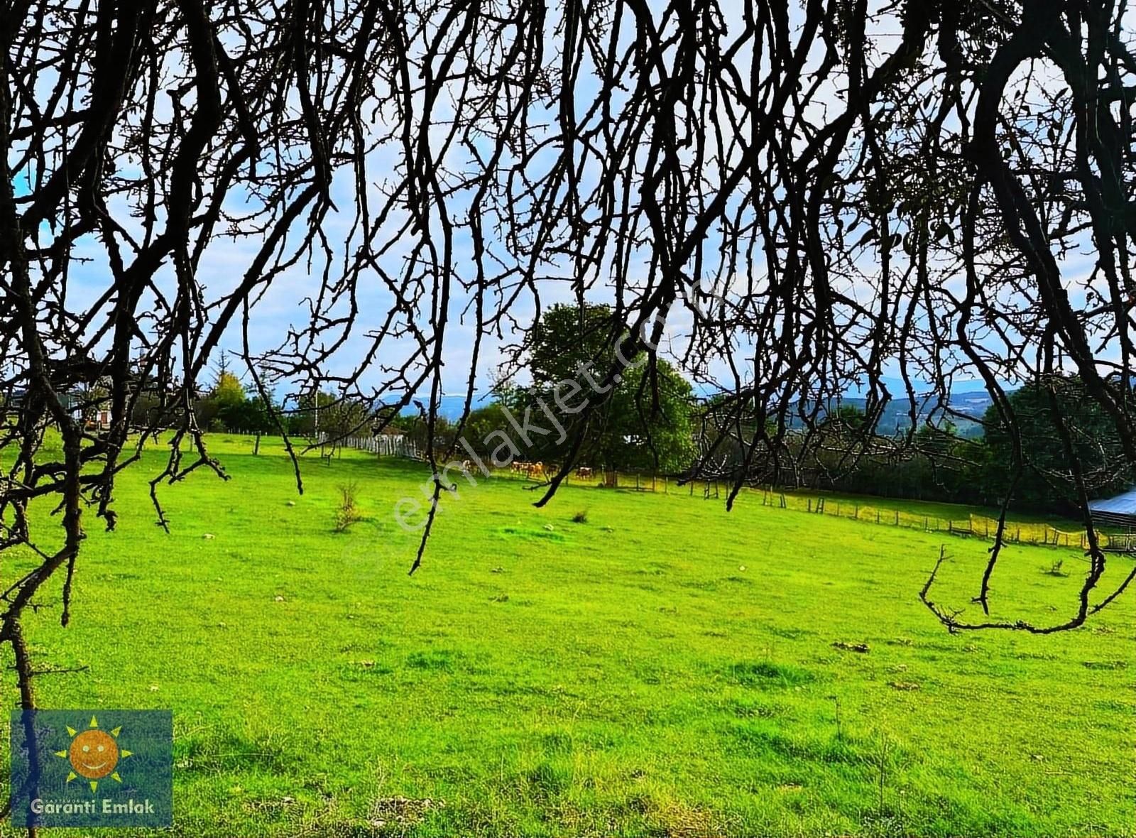 Kastamonu Merkez Bahadır Köyü (Çırakoğlu) Satılık Konut İmarlı Garanti Emlak'tan, Eşsiz Manzaraya Sahip, 2.037 M², İmarlı Arsa.