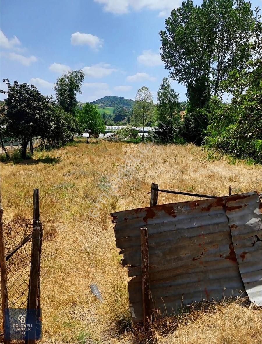 Yalova Merkez Hacımehmet Köyü Satılık Bağ & Bahçe Satılık Tarla Mükemmel Konumda...