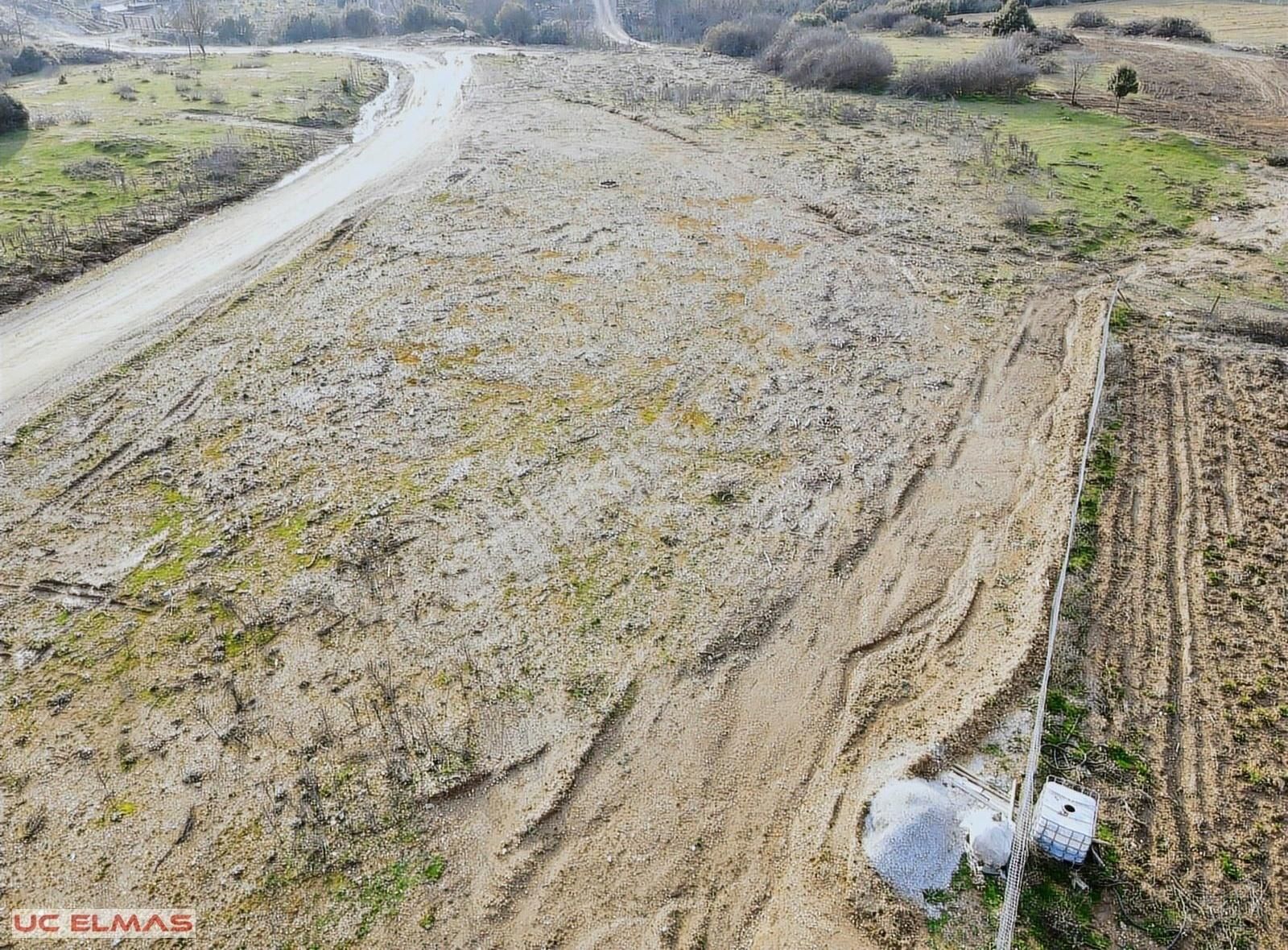 Menderes Ataköy Satılık Tarla Üç Elmastan Karacadağ Bölgesinde 409 M²tapulu Rüya Gibi Bahçe