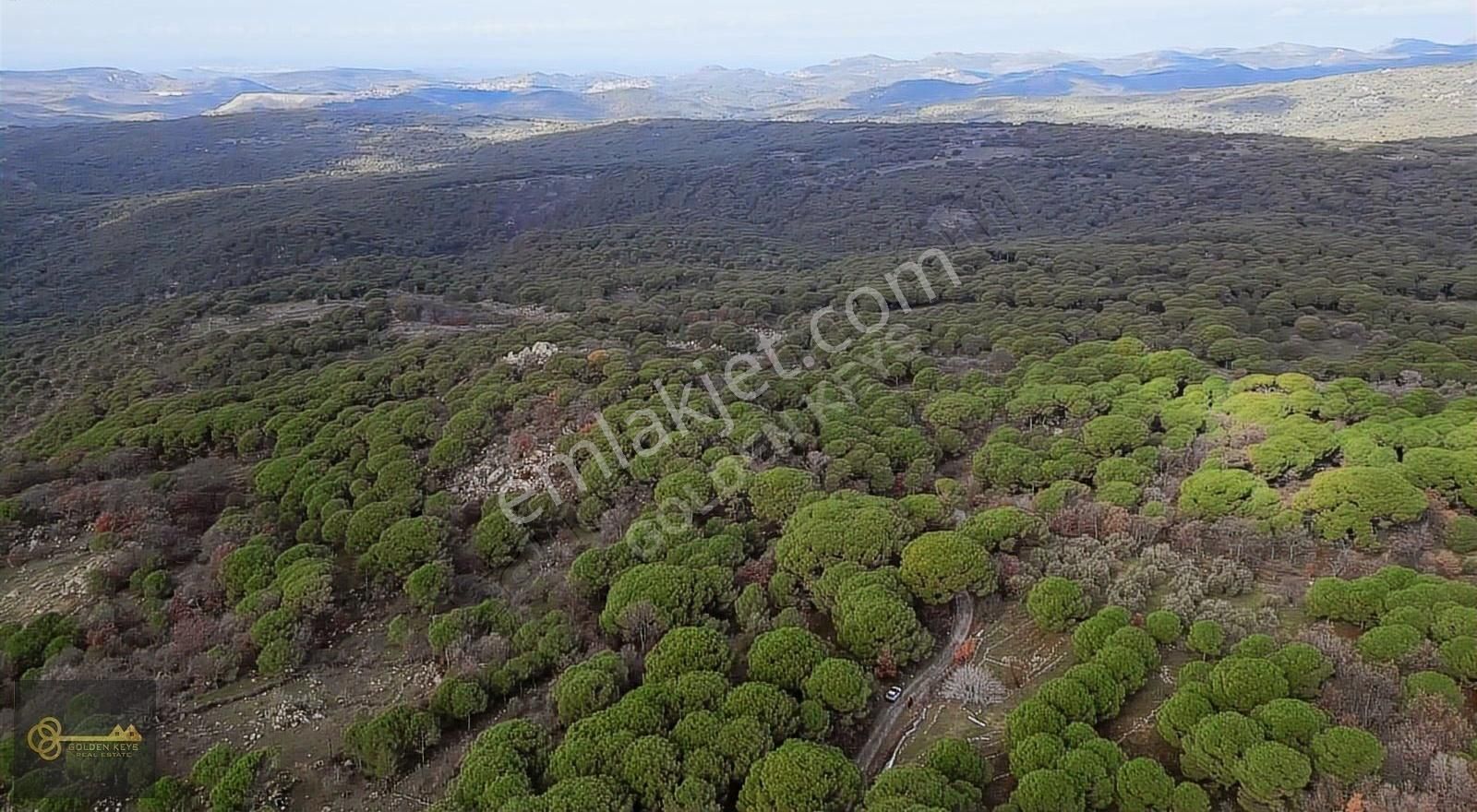 Bergama Yukarıbey Kaplan Satılık Tarla Bergama Kozak Yaylası Kaplan Mahallesinde Köy Civarında Bağ