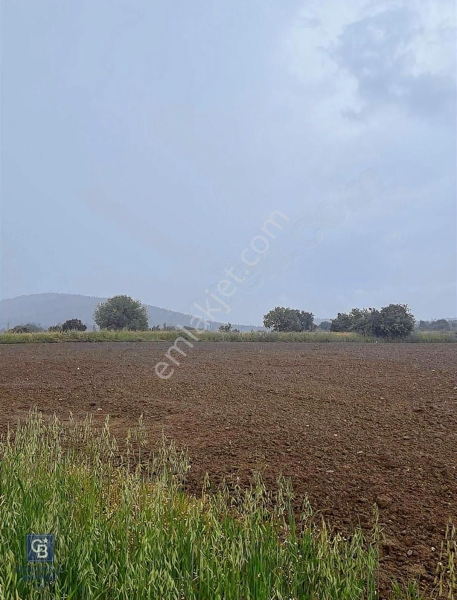 Milas Kuzyaka Köyünde Yatırımlık Tarla - Görsel 7