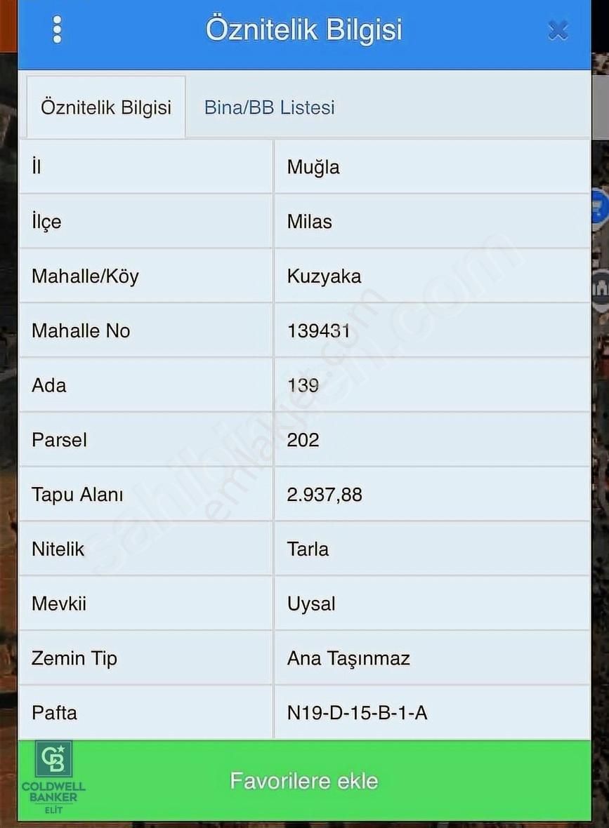 Milas Kuzyaka Köyünde Yatırımlık Tarla - Görsel 10