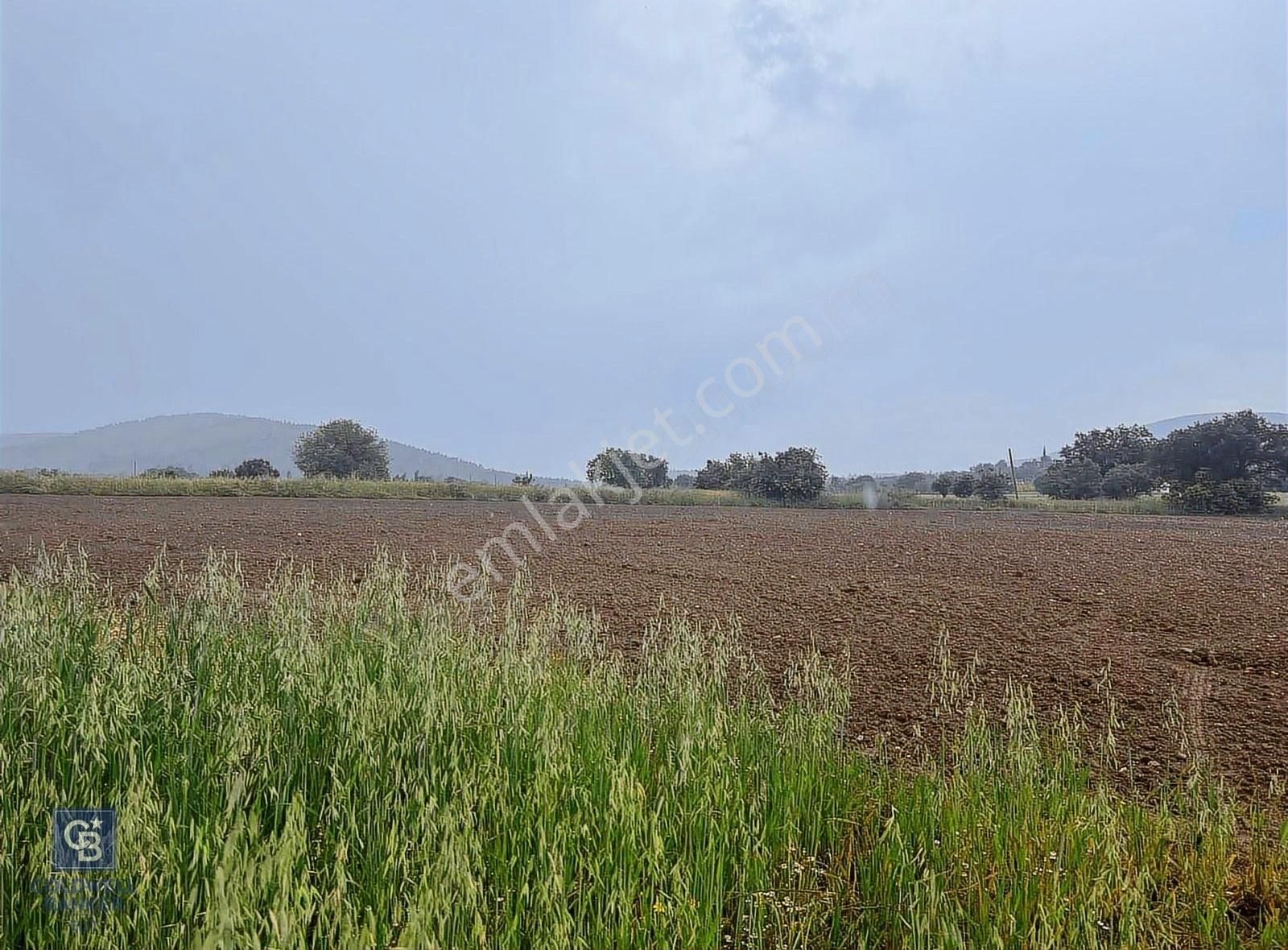Milas Kuzyaka Köyünde Yatırımlık Tarla - Görsel 8