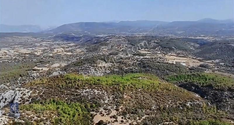 Milas Alaçam'da Lansman Fiyatıyla Yaşam Bahçeleri - Görsel 3