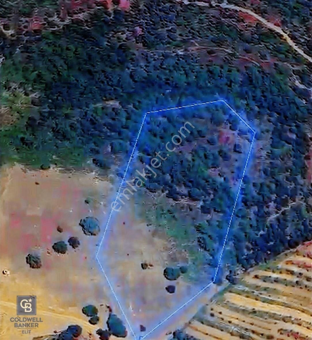 Milas Alaçam'da Lansman Fiyatıyla Yaşam Bahçeleri - Görsel 5