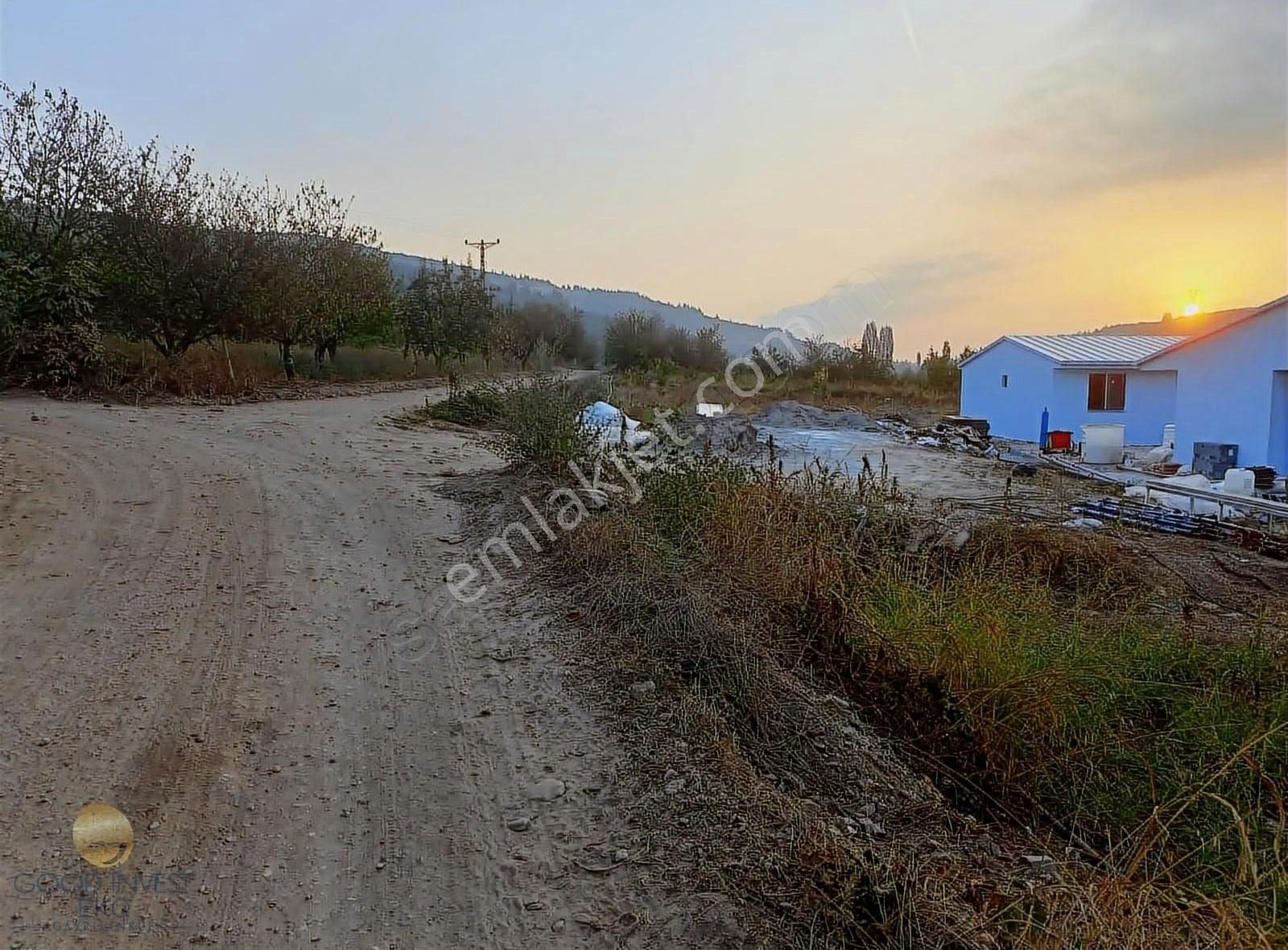 İznik Kaynarca Satılık Tarla İznik Kaynarca Mahallesi' Bakımlı Nektari Bahçesi