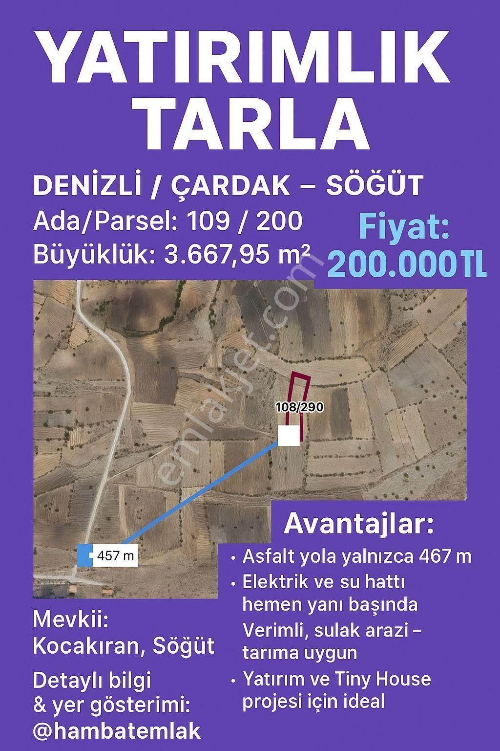 Denizli Çardak Söğüt Resmi Yolu Olan Tarls