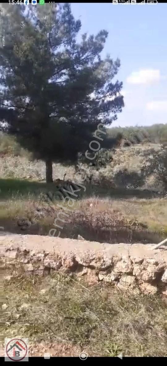 Tek Tapu Buca Yıldızlar ,söğüt E Ve Cad Yakın 450 Mk Tarla - Görsel 2