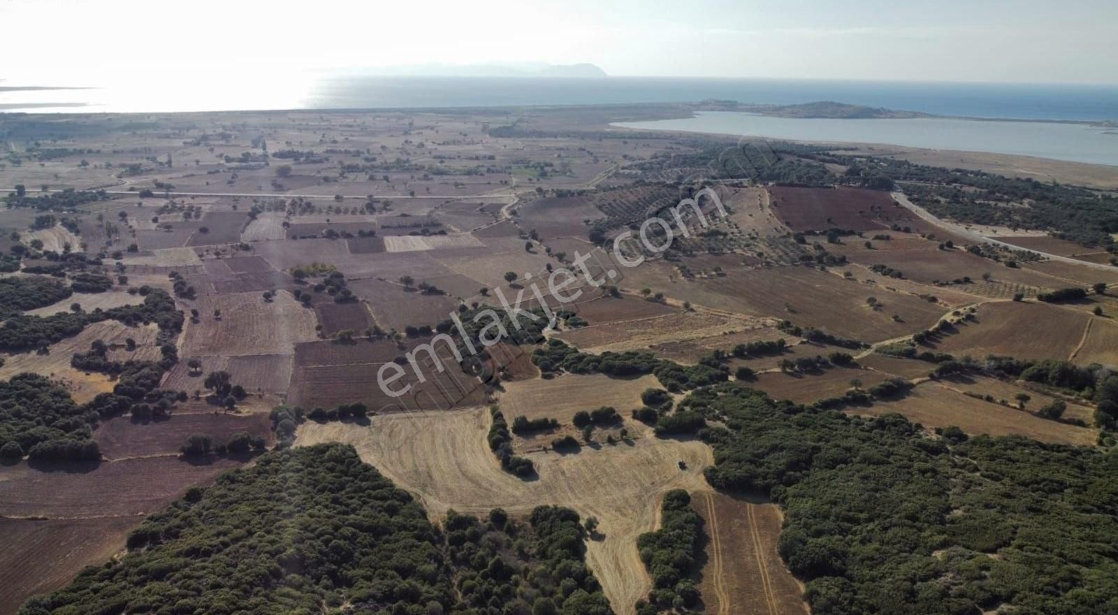 Eceabat Büyükanafarta Köyü Satılık Bağ & Bahçe Müstakil Tapulu İçersinde Zeytin Ağaçları Bulunan Huzurlubahçe