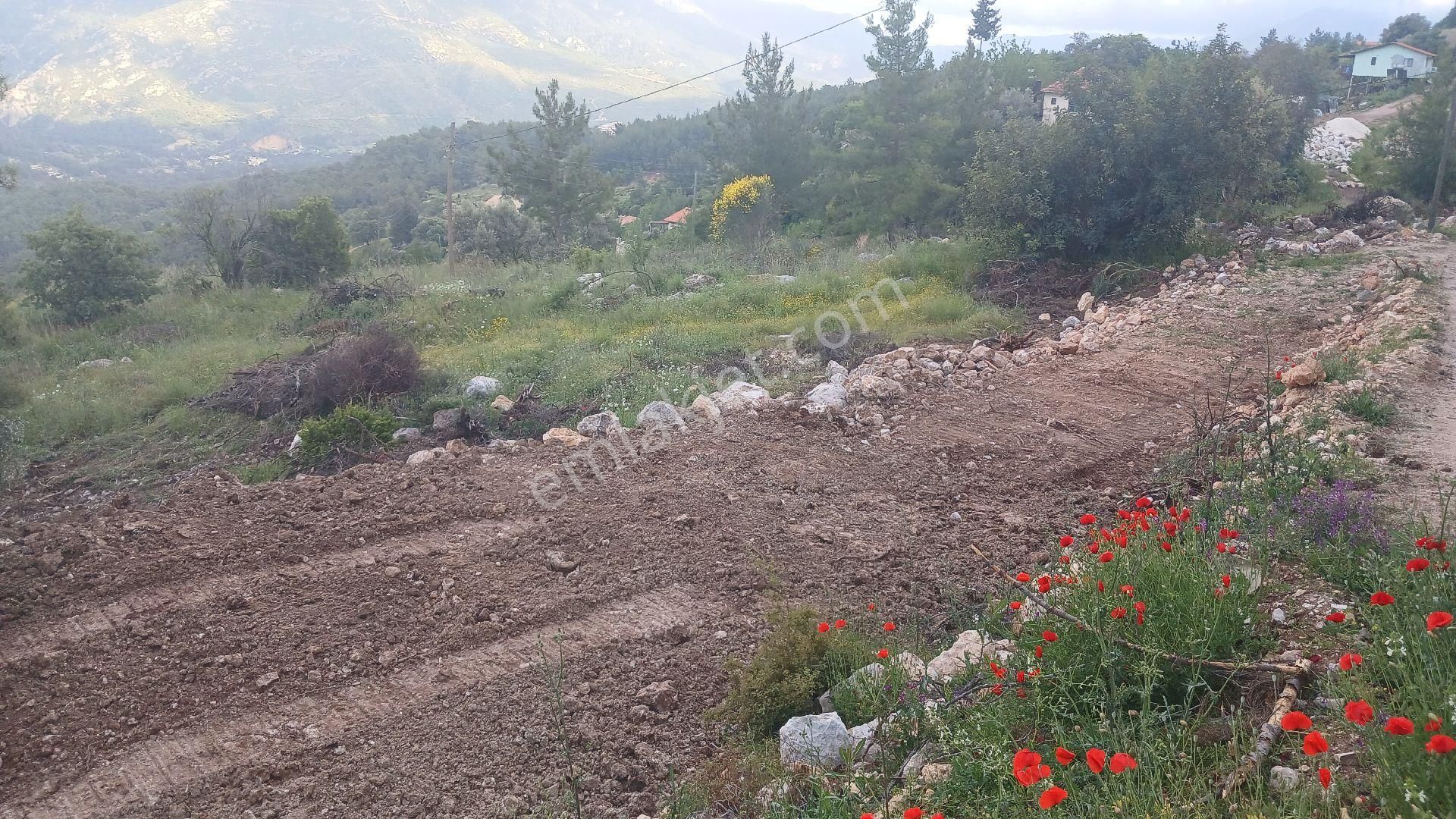 Yazır Köyü Olymposa Yakın Asfalta Sıfır Fırsat Arazi - Görsel 7