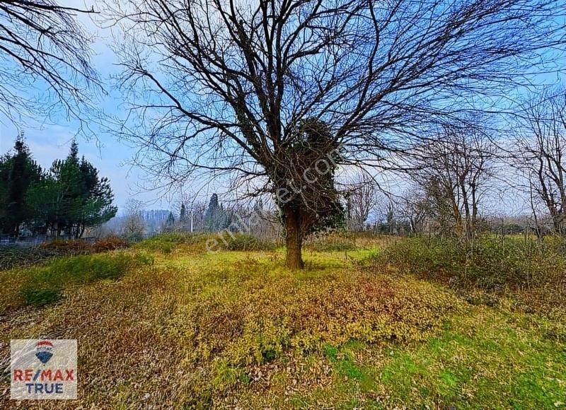 Kartepe Şirinsulhiye Satılık Villa İmarlı Kocaeli Kartepe Şirinsulhiye Mah. 2133 M2 Villa İmarlı Arsamız