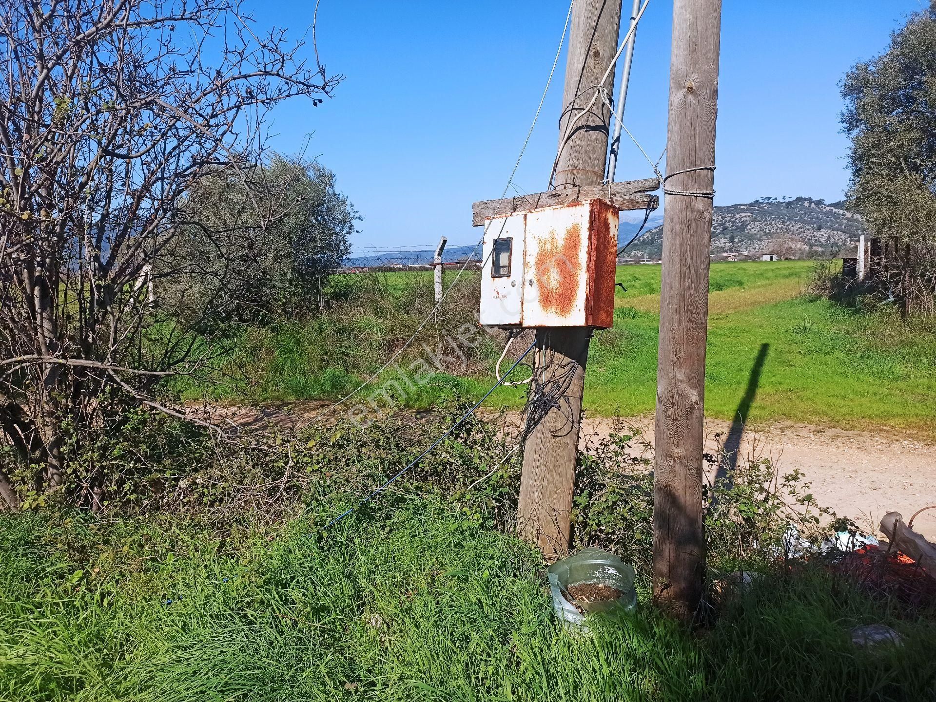 Fırsat Milas'ta Satılık Tarla Köşe Parsel Su Ve Elektrik İçinde - Görsel 20