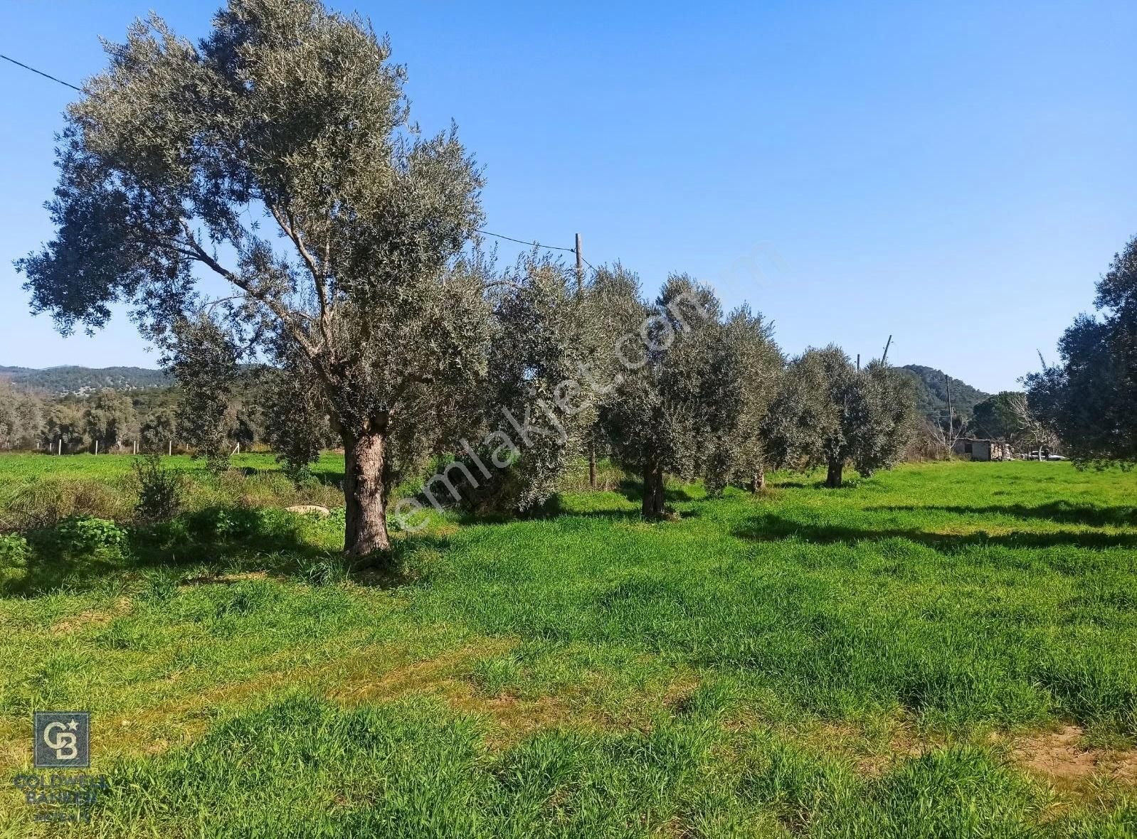 Fırsat Milas'ta Satılık Tarla Köşe Parsel Su Ve Elektrik İçinde - Görsel 10