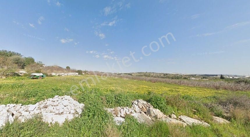 Mersin Akdeniz Evci Satılık Arsa