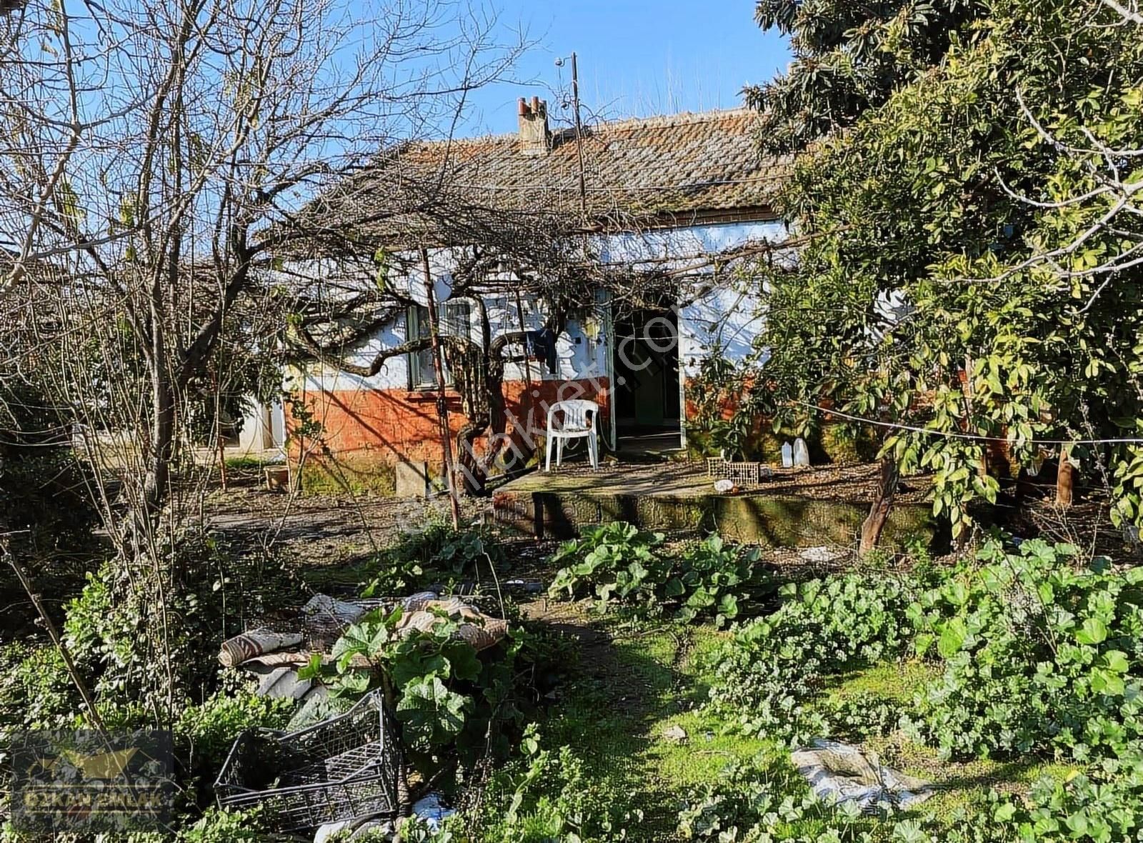 Özkan Emlaktan Satılık Çiftlik - Görsel 6