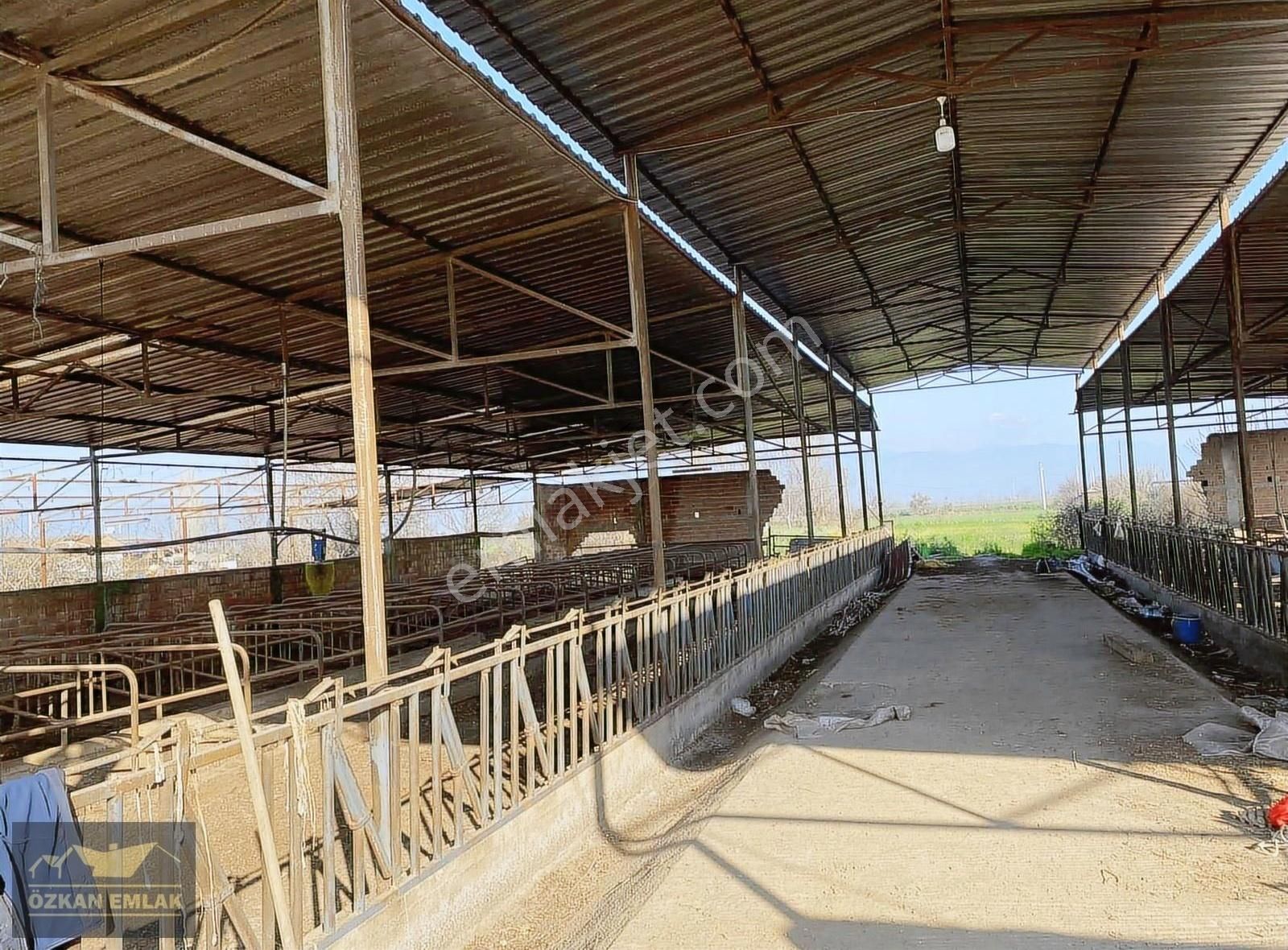 Özkan Emlaktan Satılık Çiftlik - Görsel 8