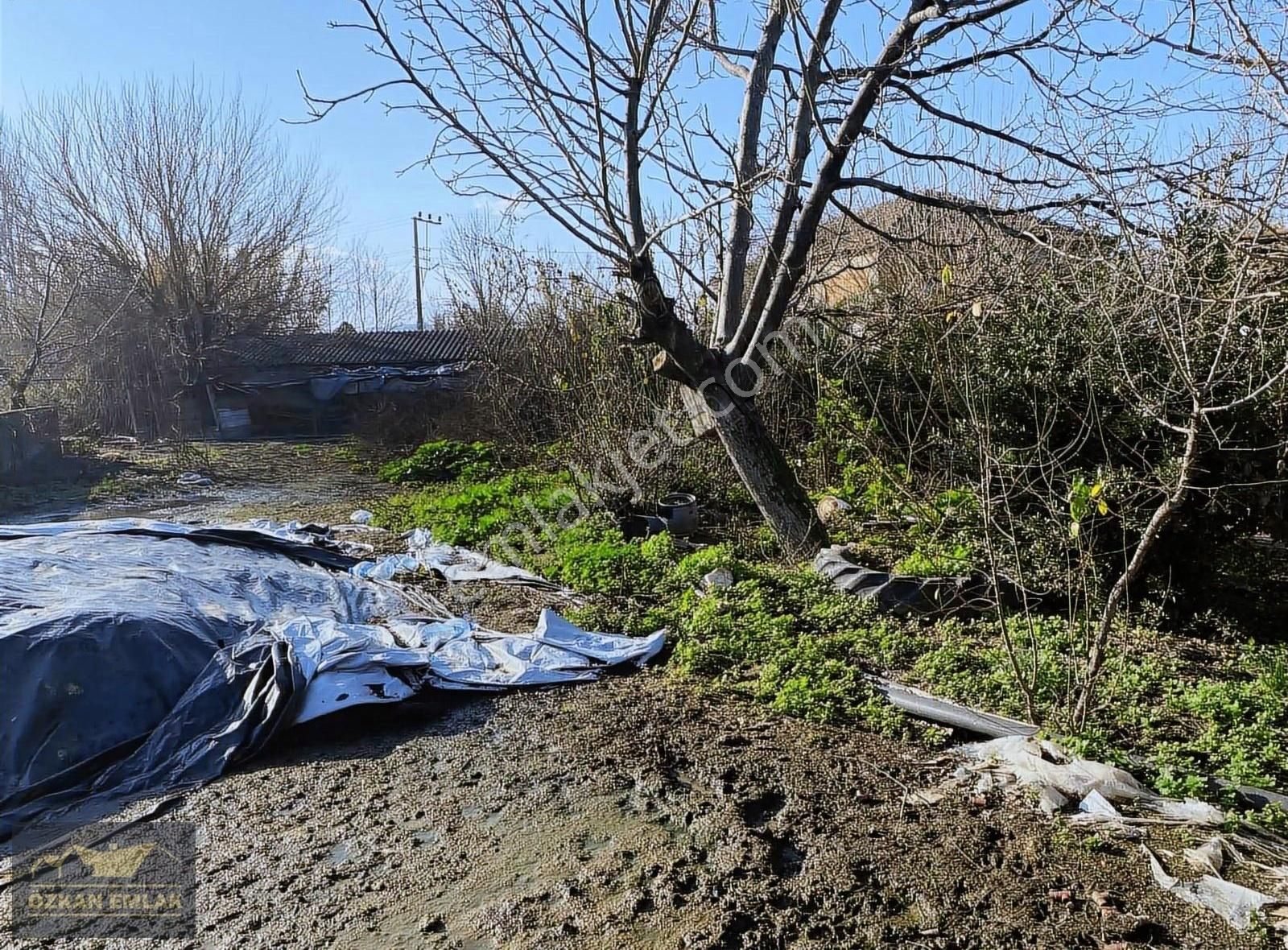 Özkan Emlaktan Satılık Çiftlik - Görsel 11