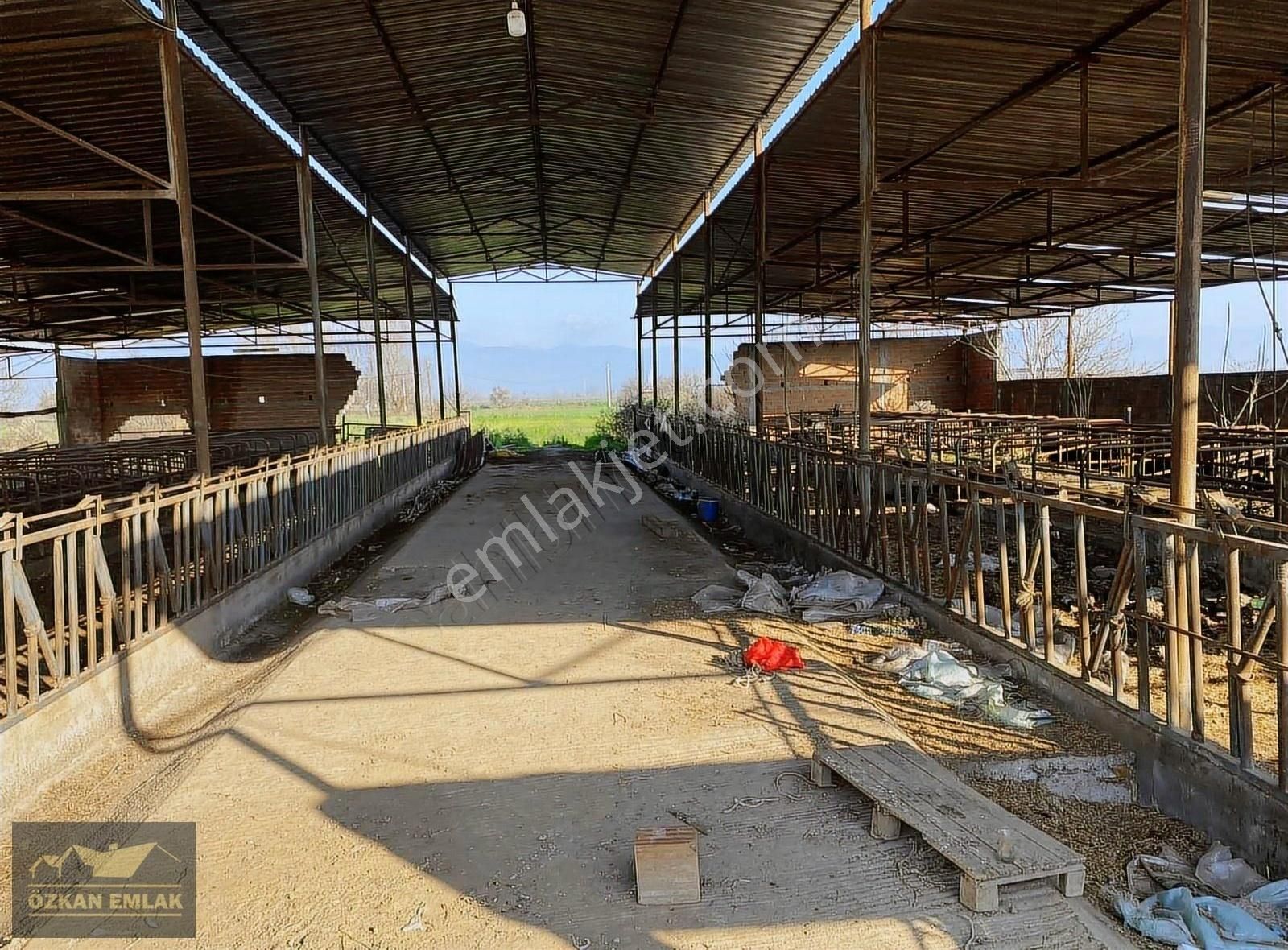 Özkan Emlaktan Satılık Çiftlik - Görsel 16