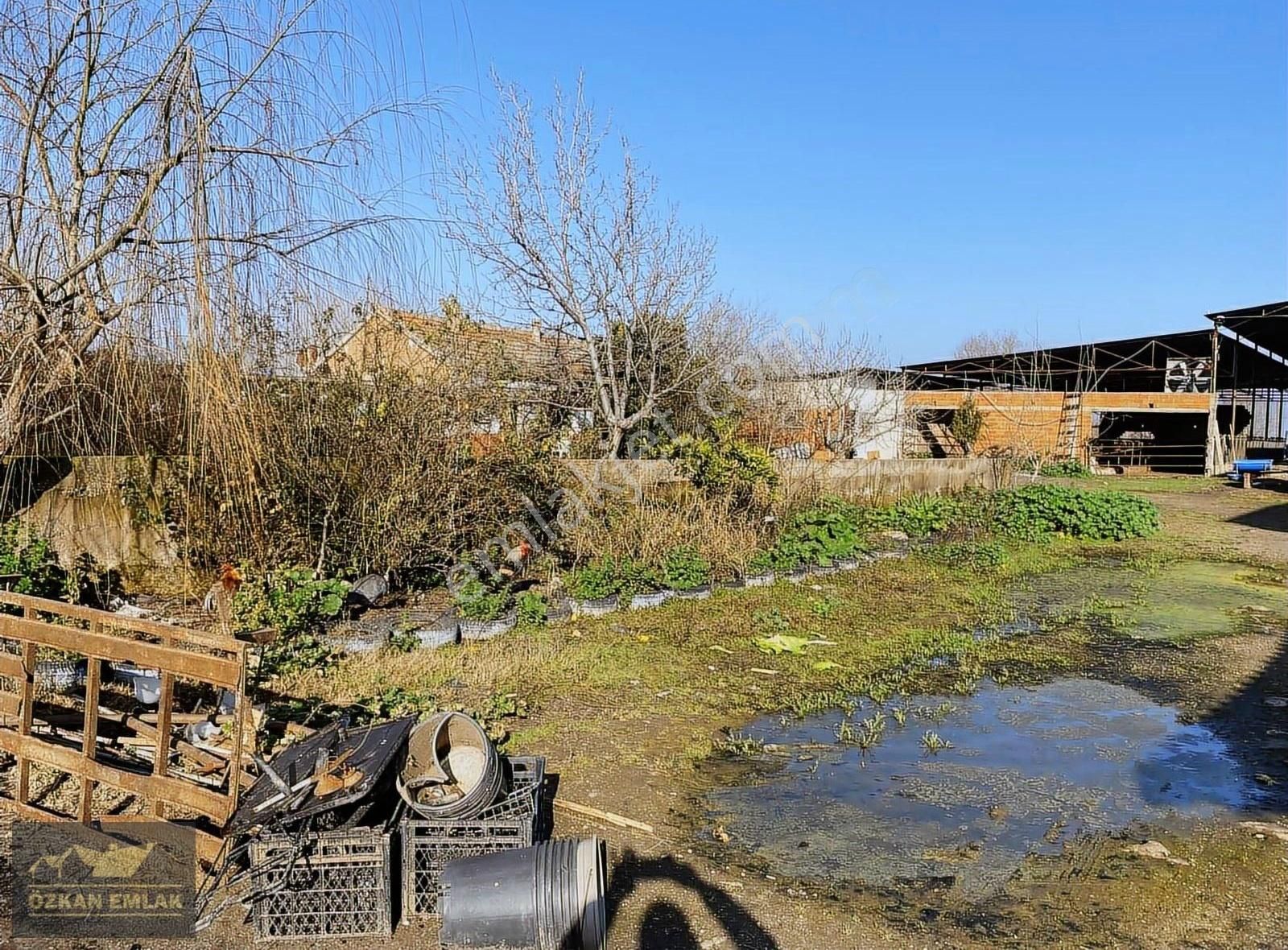 Özkan Emlaktan Satılık Çiftlik - Görsel 10