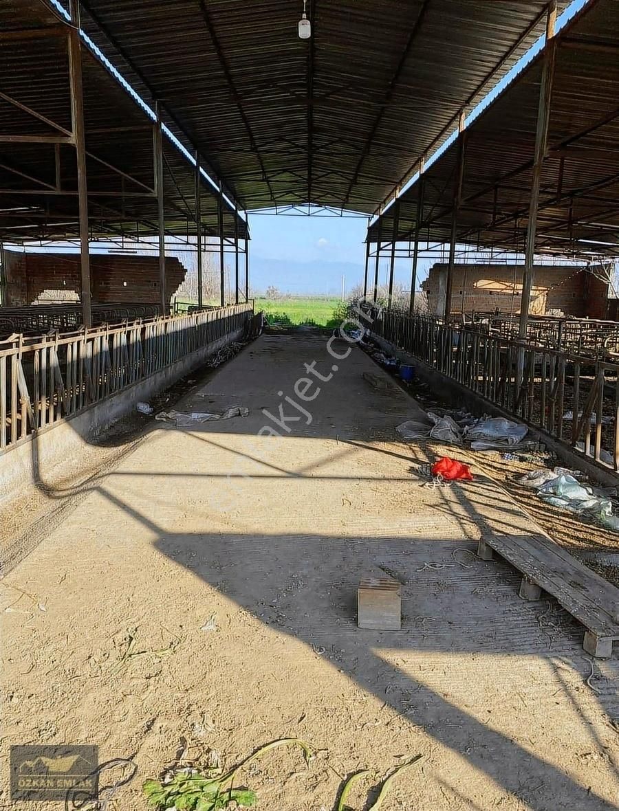 Özkan Emlaktan Satılık Çiftlik - Görsel 7