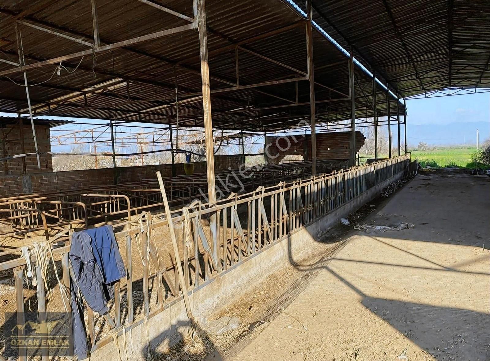 Özkan Emlaktan Satılık Çiftlik - Görsel 15