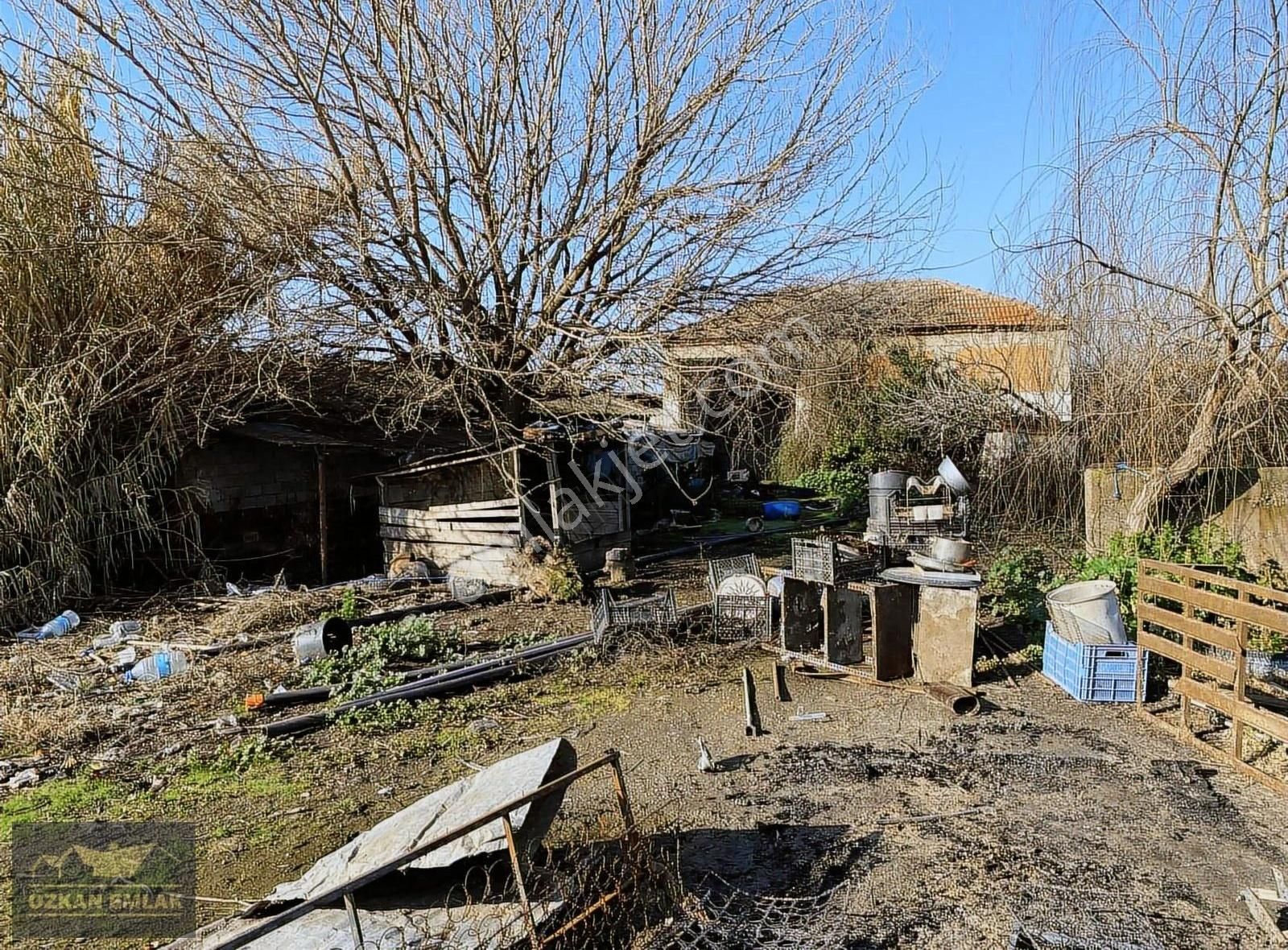 Özkan Emlaktan Satılık Çiftlik - Görsel 19