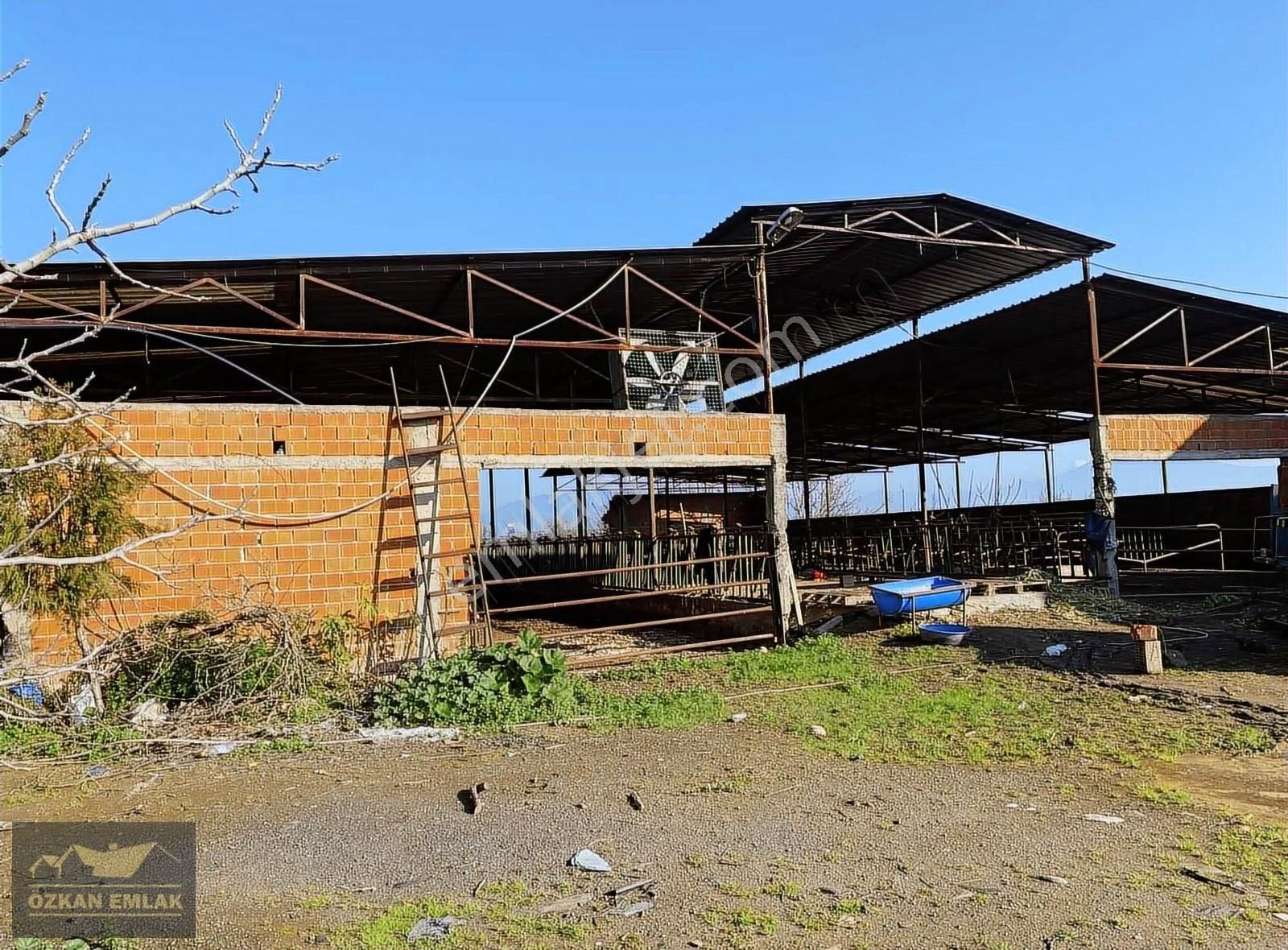 Özkan Emlaktan Satılık Çiftlik - Görsel 2
