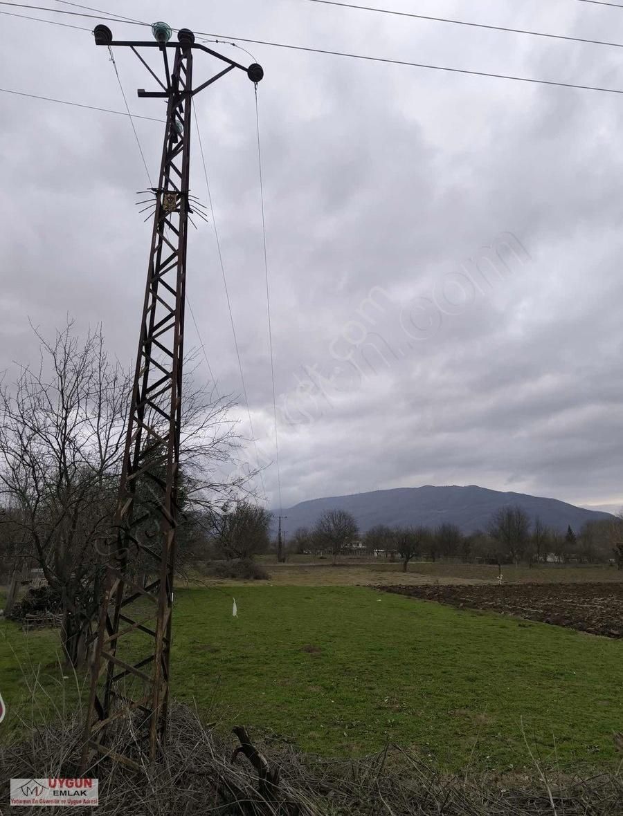 İnegöl Küçükyenice Satılık Tarla Küçükyenice Mahallesinde Satılık Tarla