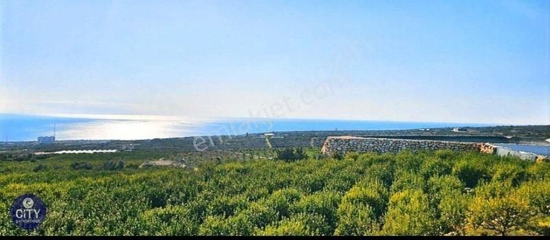 Erdemli Batısandal Satılık Konut İmarlı Full Deniz Manzaralı 18.750m2 Limon Bahçesi