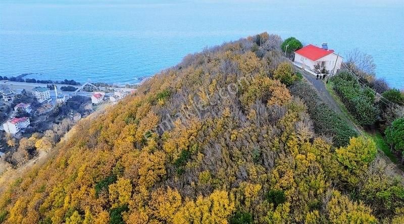 Akçaabat Mersin Satılık Tarla Akçaabat Mersin'de Deniz Manzaralı Arsa