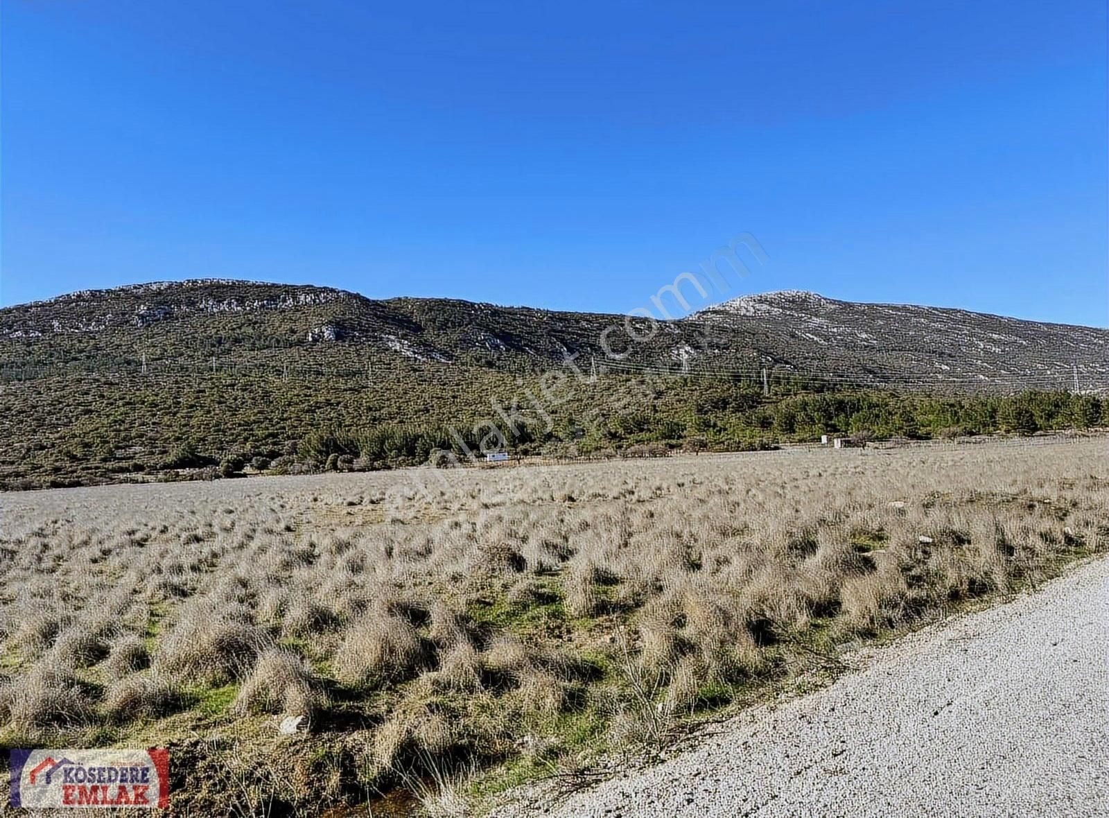 Karaburun Eğlenhoca Satılık Tarla 4.460 M2 Doğa İçerisinde Kendine Ait Yaşam Kurabileceğiniz Tarla