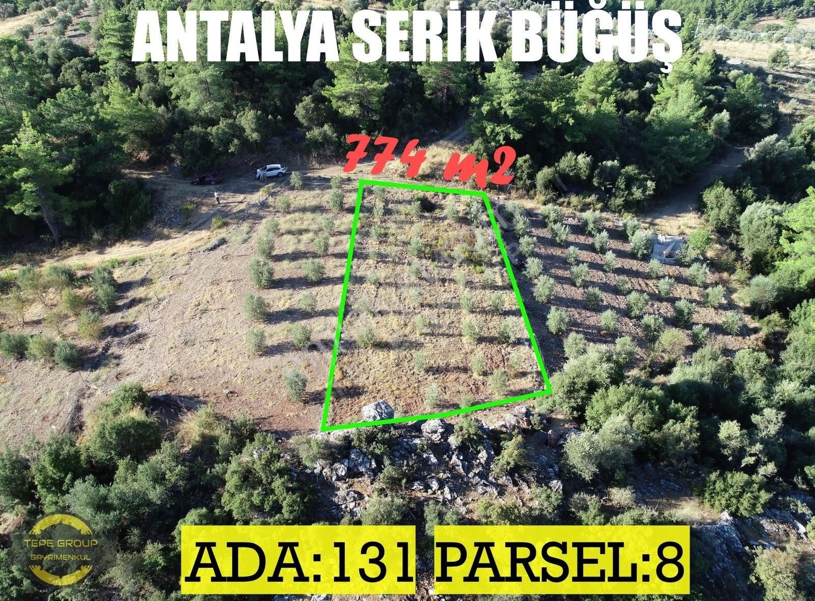 Serik Büğüş Satılık Bağ & Bahçe Antalya Serik Büğüşte 774 M2 Tek Tapu Satılık Bahçe