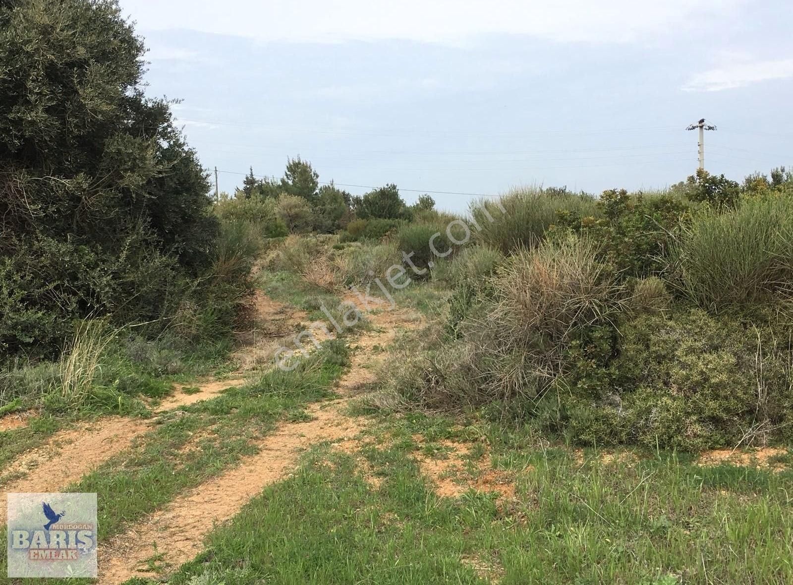 Karaburun Mordoğan Satılık Bağ & Bahçe Barış Emlaktan Küçük Bahçede Satı Tarla