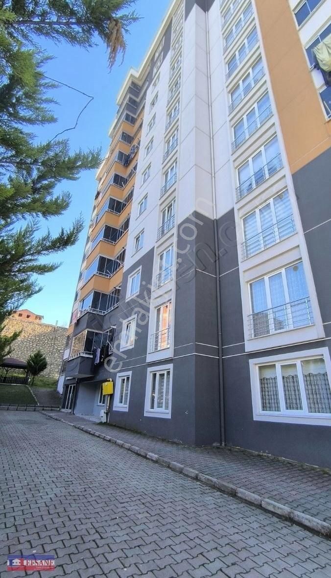 Fatsa Kurtuluş Kiralık Daire Kurtulus Mal Pazarı Mevkii Kiralik Site Dairesi