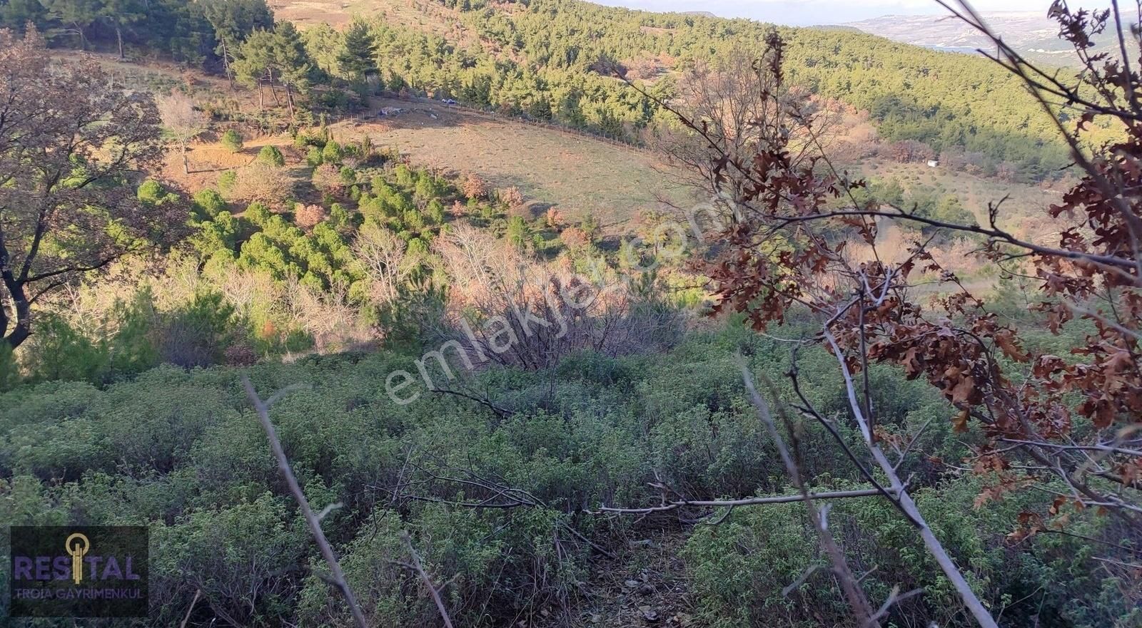 Çanakkale Merkez Çiftlikdere Köyü Satılık Tarla Fırsat Merkez Çiftlikdere Köyünde Yatırımlık Arazi