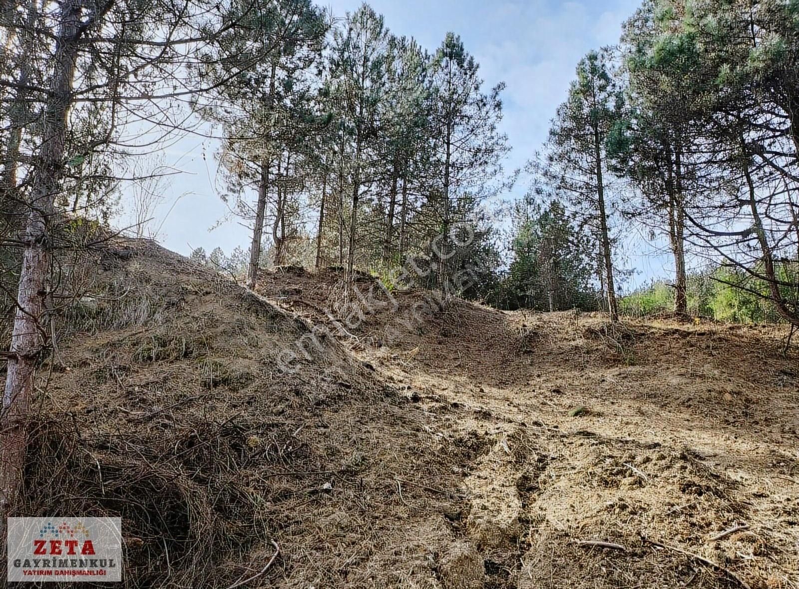 Sapanca Hacımercan Satılık Tarla Sapanca Hacımercanda 3,320 M2 Bungalov'a Uygun Arazi