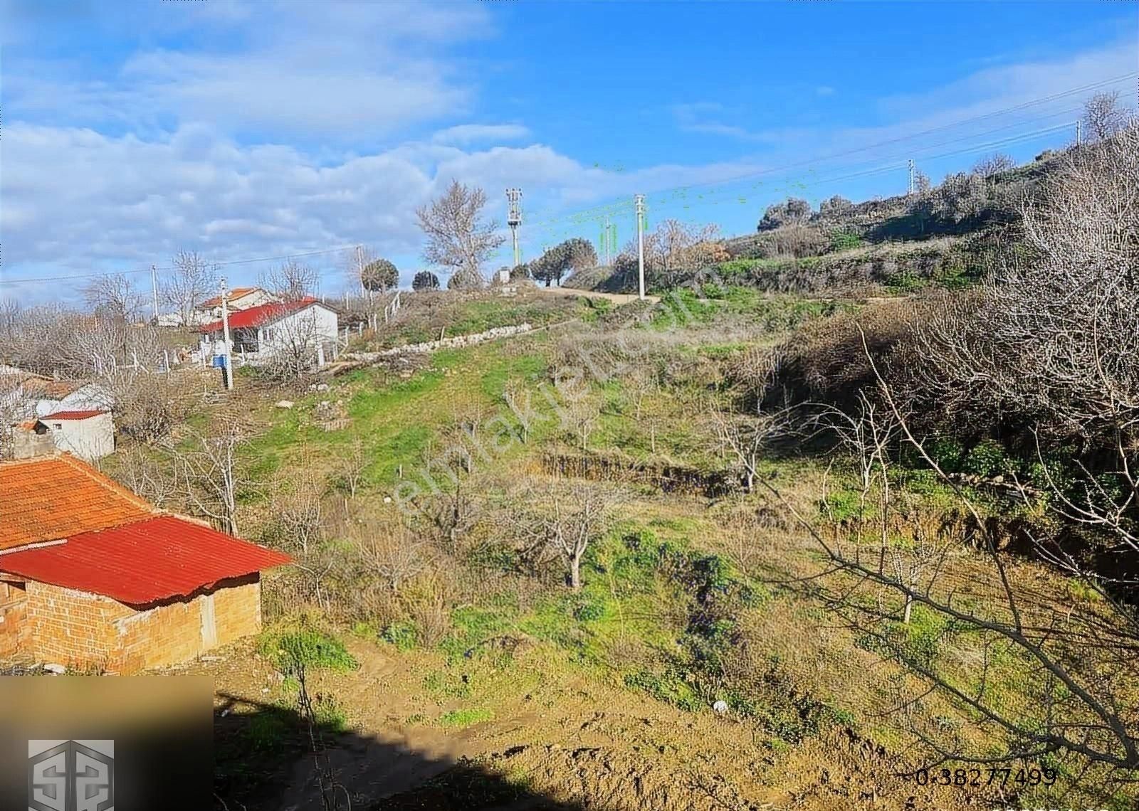 Selçuk 14 Mayıs Satılık Bağ & Bahçe İzmir Selcuk Kireccili Köyü 650 M2 Arsa