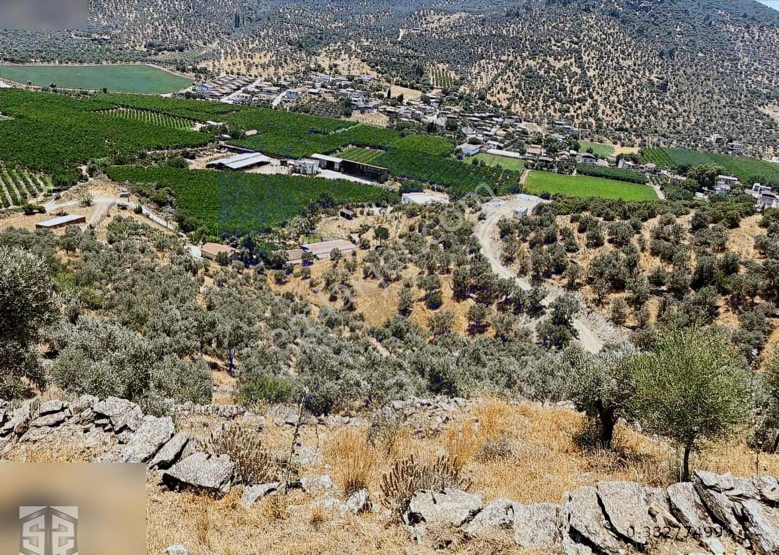 İzmir Selcuk Belevi Köyü 8146 M2 İçinde Evi Olan Zeytinlik - Görsel 10