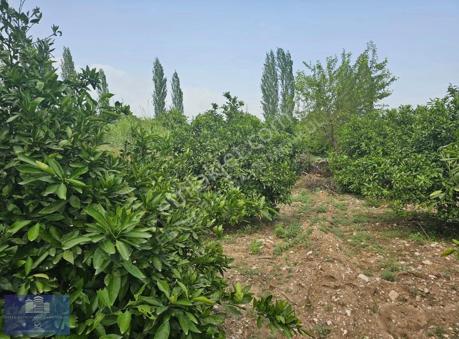 Konyaaltı Aşağıkaraman Satılık Tarla Antalya Konyaaltı Aşagı Karaman Arsa Portakal Bahçesi