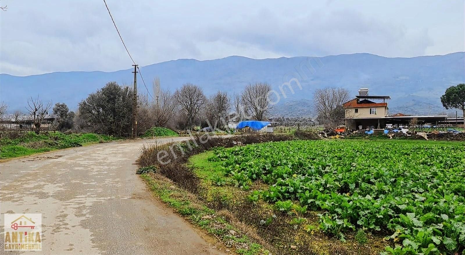 Beydağ Alakeçili Satılık Tarla Antika Gayrimenkul'den Beydağ'da 12.050 M² Satılık Arsa