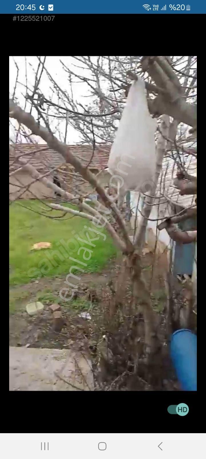 Yenisehir Karakoyde Mustakil Ev - Görsel 3