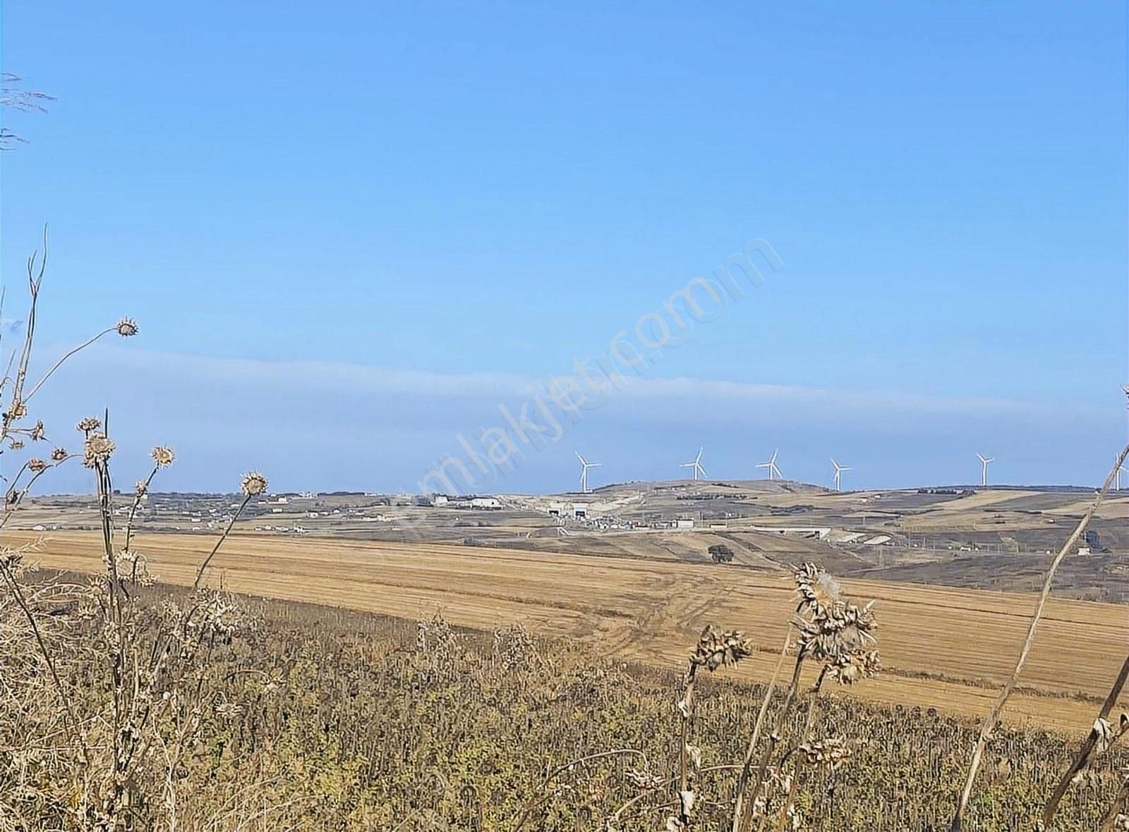 Silivri Kadıköy Satılık Tarla Kadıköy De Yan Yana 5 Adet Satılık 244 M2 Parseller