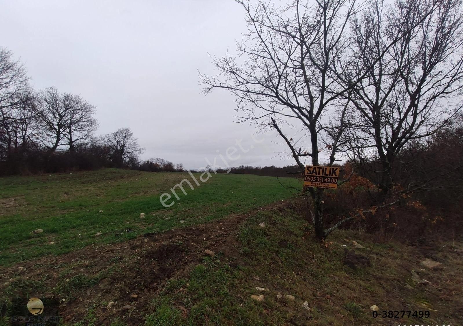 Lalapaşa Hamzabeyli Köyü Satılık Tarla Edirne Lalapaşa Hamzabeyli Sınır Kapısında Satılık Tarla